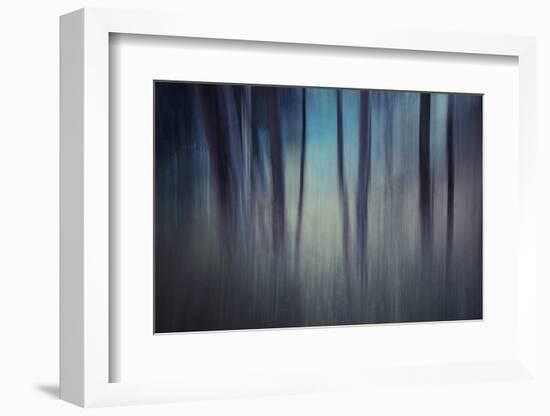 Evening Woods-Ursula Abresch-Framed Photographic Print