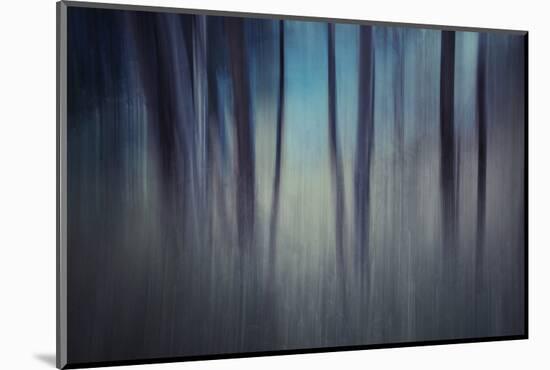 Evening Woods-Ursula Abresch-Mounted Photographic Print