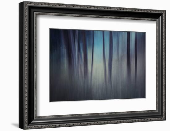 Evening Woods-Ursula Abresch-Framed Photographic Print