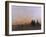 Evening-Michael Budden-Framed Giclee Print