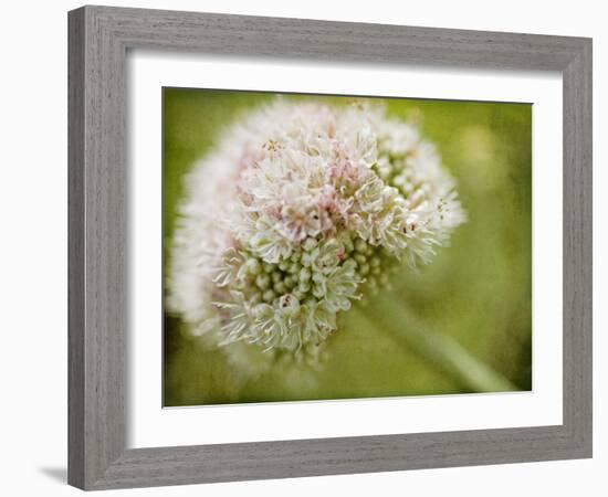 Ever So Softly-Jessica Rogers-Framed Giclee Print