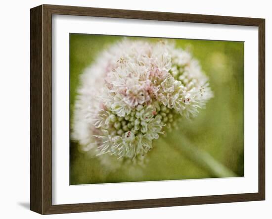 Ever So Softly-Jessica Rogers-Framed Giclee Print