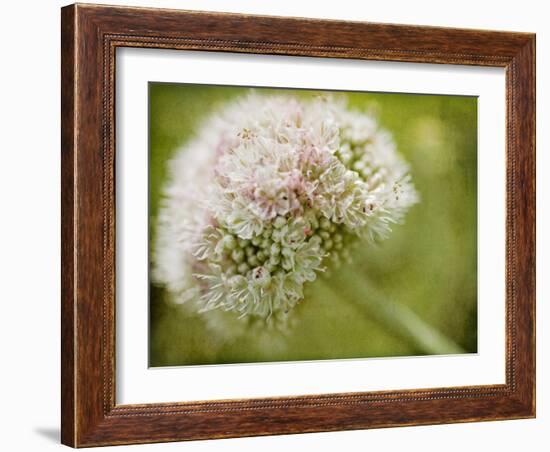 Ever So Softly-Jessica Rogers-Framed Giclee Print