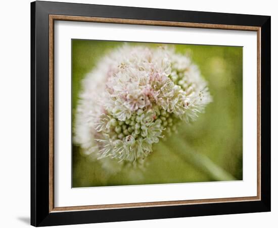 Ever So Softly-Jessica Rogers-Framed Giclee Print