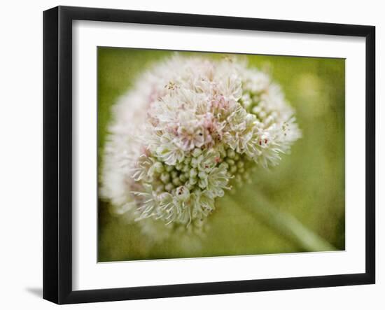 Ever So Softly-Jessica Rogers-Framed Giclee Print