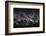 Everest View-Sorin Tanase-Framed Photographic Print