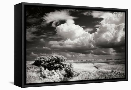 Everette Bay I-Alan Hausenflock-Framed Premier Image Canvas