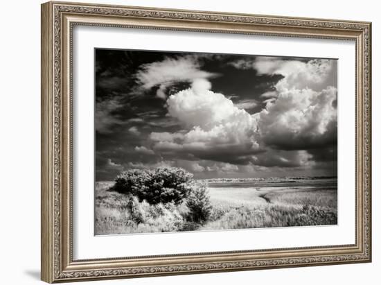 Everette Bay I-Alan Hausenflock-Framed Photographic Print