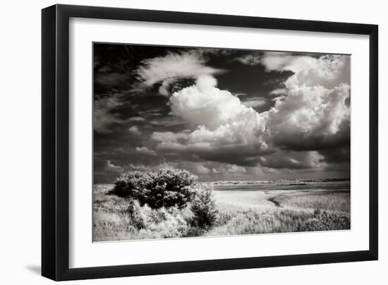 Everette Bay I-Alan Hausenflock-Framed Photographic Print