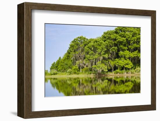 Everglades, Florida, USA-Michael DeFreitas-Framed Photographic Print