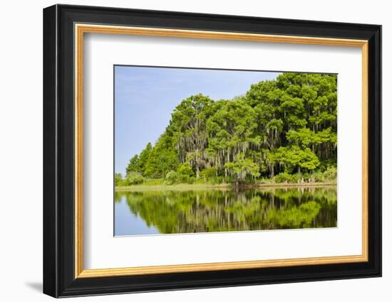 Everglades, Florida, USA-Michael DeFreitas-Framed Photographic Print
