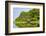 Everglades, Florida, USA-Michael DeFreitas-Framed Photographic Print