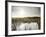 Everglades National Park, UNESCO World Heritage Site, Florida, USA, North America-Angelo Cavalli-Framed Photographic Print