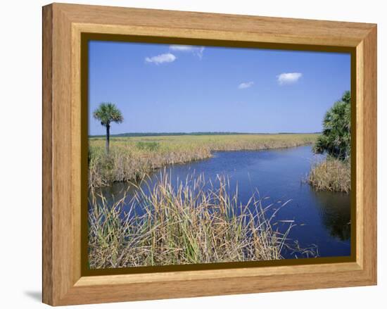 Everglades National Park, Unesco World Heritage Site, Florida, USA-J Lightfoot-Framed Premier Image Canvas