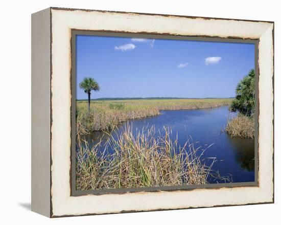 Everglades National Park, Unesco World Heritage Site, Florida, USA-J Lightfoot-Framed Premier Image Canvas