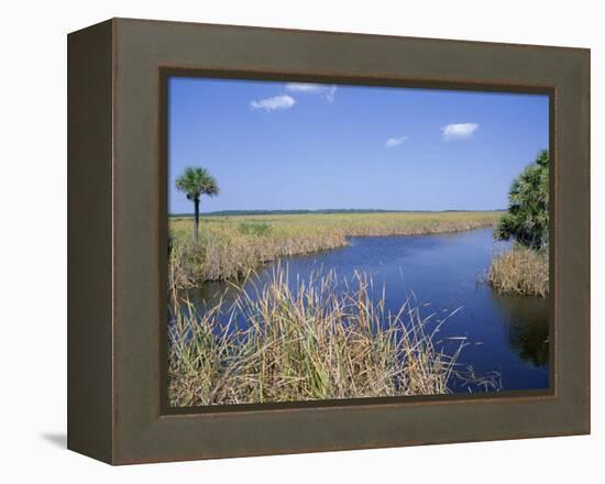 Everglades National Park, Unesco World Heritage Site, Florida, USA-J Lightfoot-Framed Premier Image Canvas