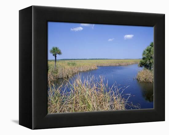 Everglades National Park, Unesco World Heritage Site, Florida, USA-J Lightfoot-Framed Premier Image Canvas