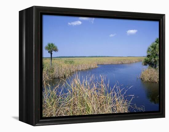 Everglades National Park, Unesco World Heritage Site, Florida, USA-J Lightfoot-Framed Premier Image Canvas