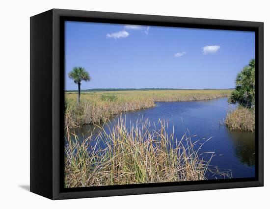 Everglades National Park, Unesco World Heritage Site, Florida, USA-J Lightfoot-Framed Premier Image Canvas