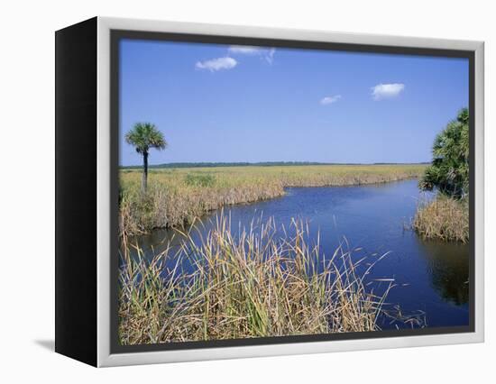 Everglades National Park, Unesco World Heritage Site, Florida, USA-J Lightfoot-Framed Premier Image Canvas