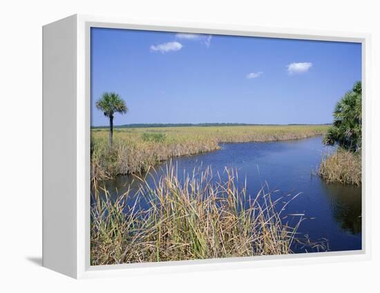 Everglades National Park, Unesco World Heritage Site, Florida, USA-J Lightfoot-Framed Premier Image Canvas