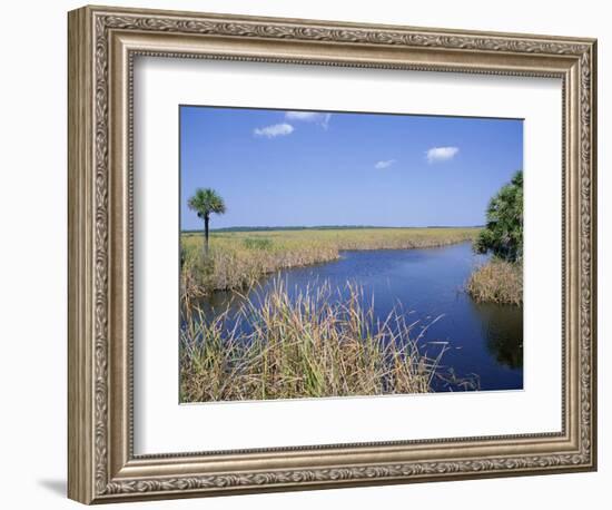 Everglades National Park, Unesco World Heritage Site, Florida, USA-J Lightfoot-Framed Photographic Print