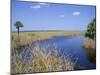 Everglades National Park, Unesco World Heritage Site, Florida, USA-J Lightfoot-Mounted Photographic Print