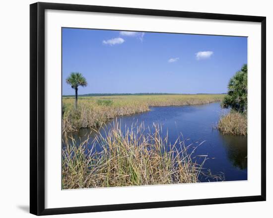 Everglades National Park, Unesco World Heritage Site, Florida, USA-J Lightfoot-Framed Photographic Print