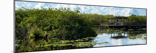 Everglades National Park - Unesco World Heritage Site - Florida - USA-Philippe Hugonnard-Mounted Photographic Print
