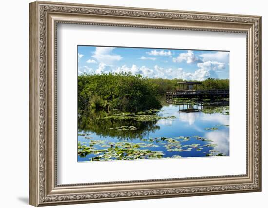 Everglades National Park - Unesco World Heritage Site - Florida - USA-Philippe Hugonnard-Framed Photographic Print