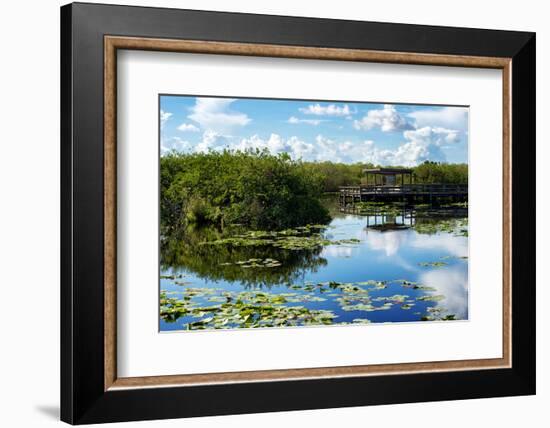 Everglades National Park - Unesco World Heritage Site - Florida - USA-Philippe Hugonnard-Framed Photographic Print