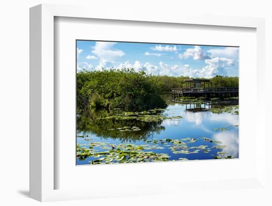 Everglades National Park - Unesco World Heritage Site - Florida - USA-Philippe Hugonnard-Framed Photographic Print