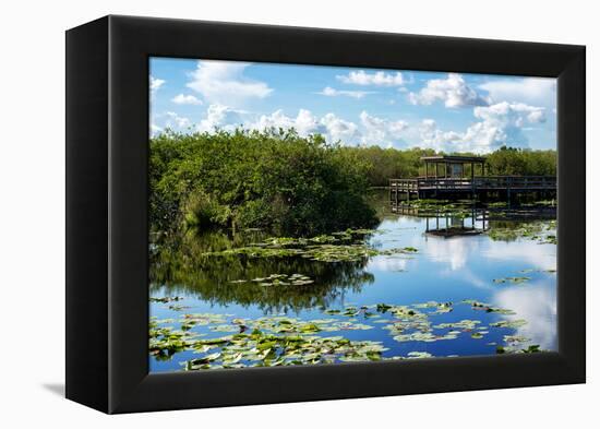 Everglades National Park - Unesco World Heritage Site - Florida - USA-Philippe Hugonnard-Framed Premier Image Canvas