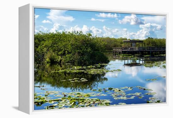 Everglades National Park - Unesco World Heritage Site - Florida - USA-Philippe Hugonnard-Framed Premier Image Canvas