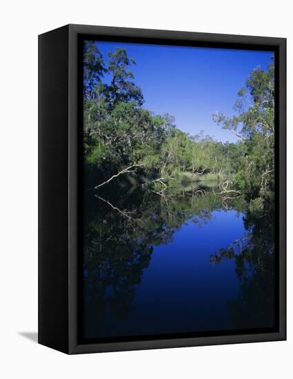 Everglades, Noosa, Queensland, Australia-Rob Mcleod-Framed Premier Image Canvas