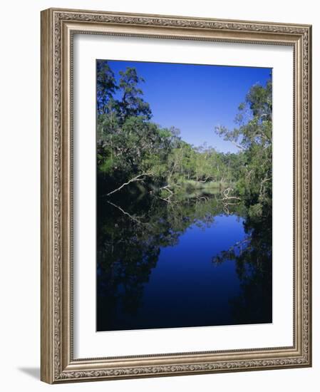 Everglades, Noosa, Queensland, Australia-Rob Mcleod-Framed Photographic Print