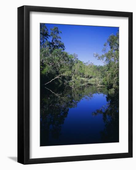 Everglades, Noosa, Queensland, Australia-Rob Mcleod-Framed Photographic Print