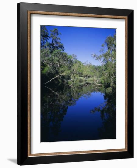 Everglades, Noosa, Queensland, Australia-Rob Mcleod-Framed Photographic Print