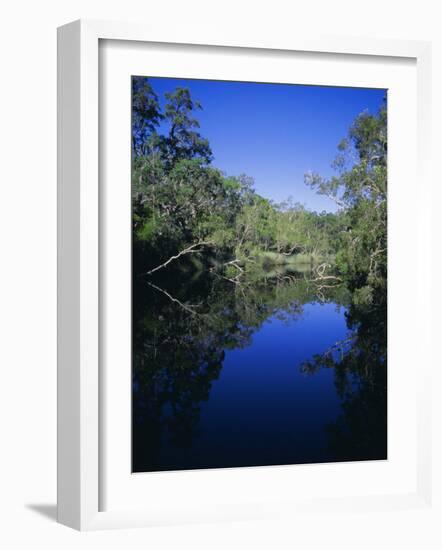 Everglades, Noosa, Queensland, Australia-Rob Mcleod-Framed Photographic Print