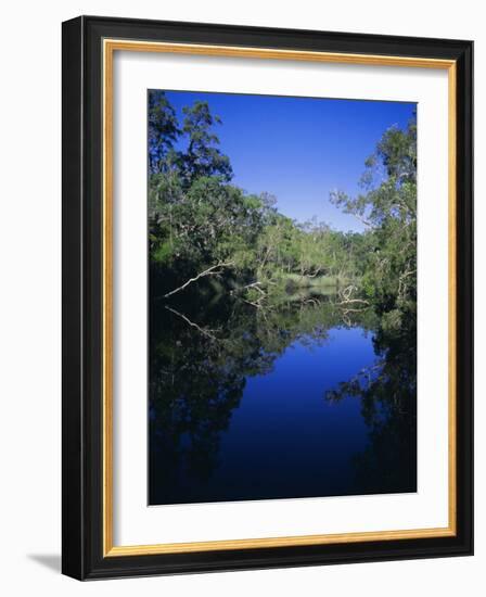 Everglades, Noosa, Queensland, Australia-Rob Mcleod-Framed Photographic Print