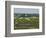 Everglades Reservoirs-Luis M. Alvarez-Framed Photographic Print