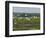 Everglades Reservoirs-Luis M. Alvarez-Framed Photographic Print