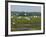 Everglades Reservoirs-Luis M. Alvarez-Framed Photographic Print