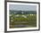 Everglades Reservoirs-Luis M. Alvarez-Framed Photographic Print