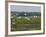 Everglades Reservoirs-Luis M. Alvarez-Framed Photographic Print