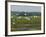 Everglades Reservoirs-Luis M. Alvarez-Framed Photographic Print