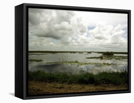 Everglades Restoration-J. Pat Carter-Framed Premier Image Canvas