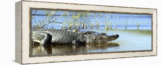 Everglades Restoration-J. Pat Carter-Framed Premier Image Canvas