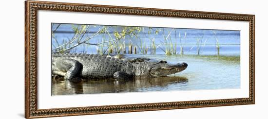 Everglades Restoration-J. Pat Carter-Framed Photographic Print