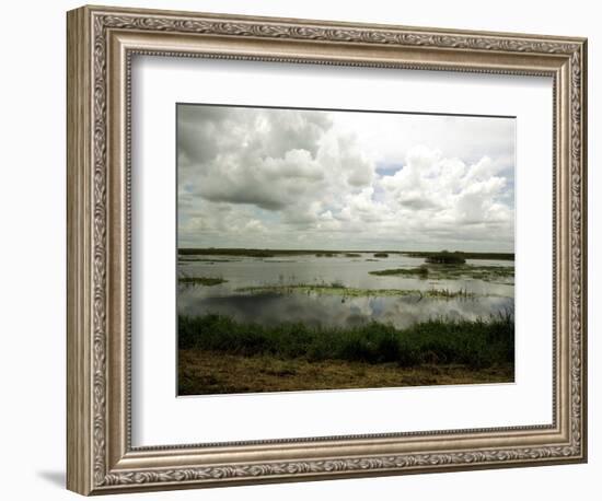 Everglades Restoration-J. Pat Carter-Framed Photographic Print